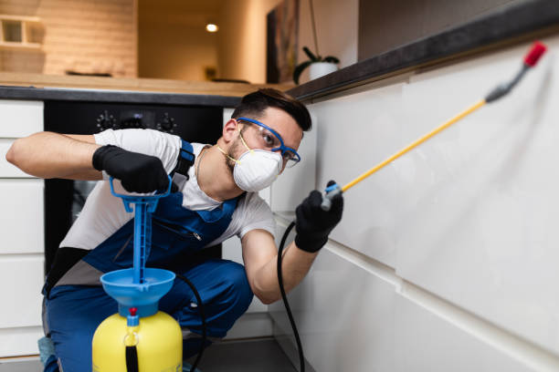 Best Bed Bug Extermination  in Ripley, OH