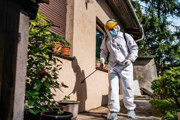 Best Pest Inspection Near Me  in Ripley, OH