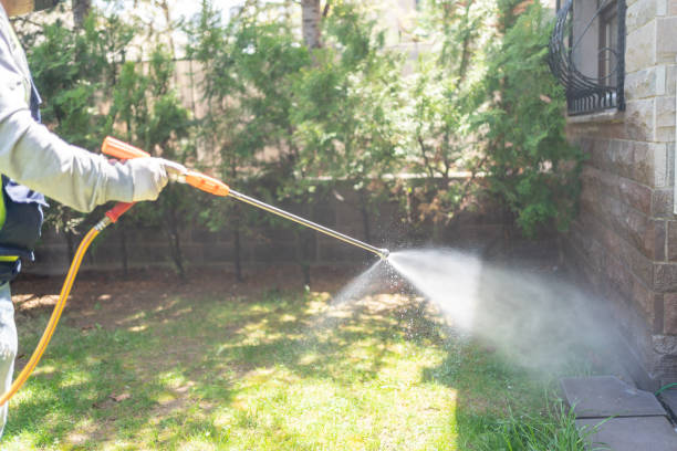 Best Flea Control Services  in Ripley, OH