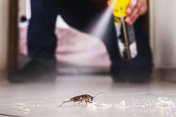 Best Pest Control for Restaurants  in Ripley, OH